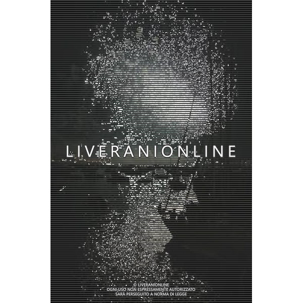 (100719) -- VENICE, July 19, 2010 () -- Fireworks explode in the air to celebrate the Redentore Festival in Venice, Italy, July 17, 2010. Venetians and visitors celebrated on Saturday one of the biggest festivals of the year the Redentore Festival, to remind the end of a disastrous plague in Venice history plague in 1577. This tradition festival is famous for its fabulous fireworks and during the festival a special floating pontoon is built to connect the San Marco Square and the Church of the Redentore on the Giudecca Island. According to local traditions the festival is celebrated in the third weekend of every July. (/Huang Xiaozhe) (axy) ©Photoshot/Agenzia Aldo Liverani Sas - ITALY ONLY - Fuochi d\'artificio per festeggiare la festa del Redentore a Venezia, Italia, 17 luglio 2010.