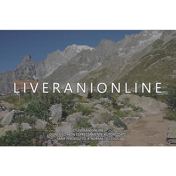 Le funivie del Monte Bianco, chiamate anche L\'Ottava Meraviglia del Mondo, collegano attraverso diversi tronconi l\'Italia con la Francia, Courmayeur con Chamonix, il percorso permette di ammirare da vicino il massiccio del Monte Bianco e tutte le montagne circostanti che fanno parte del suo gruppo. Il tratto pi spettacolare  senza dubbio quello che collega la Punta Helbronner (3.452 mt) all\'Aguille du Midi (3.842 mt) nella foto: il giardino alpino Saussurea nei pressi della stazione della funivia del Pavillon du Mont Frety (2.178 mt) nel versante italiano del tragitto, sullo sfondo il Monte Bianco foto Garavaglia - ag. Aldo Liverani sas