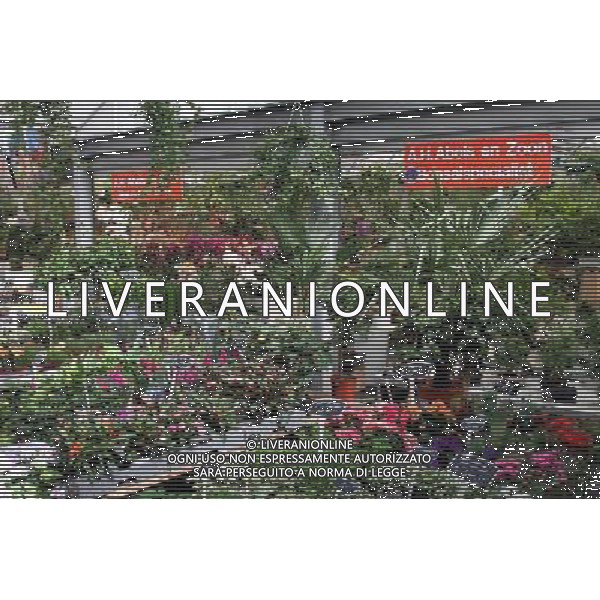 The Bloemenmarkt, flower market in Amsterdam, Holland ©PHOTOSHOT/Agenzia Aldo Liverani Sas - ITALY ONLY - VEDUTE DELLA CITTA\' DI AMSTERDAM IN OLANDA PAESI BASSI