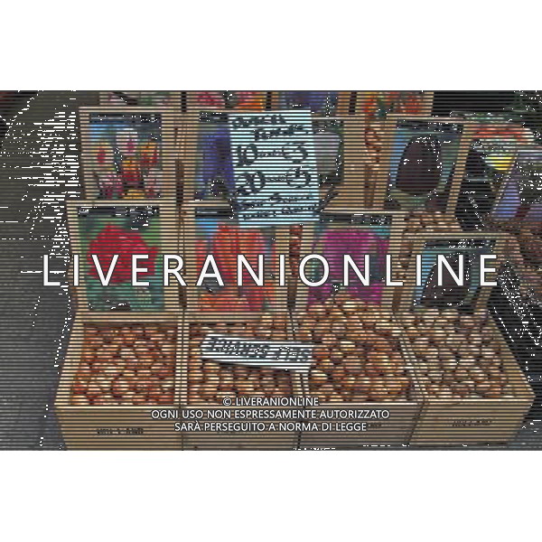 Tulip bulbs for sale in the Bloemenmarkt, flower market in Amsterdam, Holland ©PHOTOSHOT/Agenzia Aldo Liverani Sas - ITALY ONLY - VEDUTE DELLA CITTA\' DI AMSTERDAM IN OLANDA PAESI BASSI