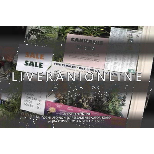 Cannabis seeds for sale at the Hempshop drugs shop Amsterdam, Holland ©PHOTOSHOT/Agenzia Aldo Liverani Sas - ITALY ONLY - VEDUTE DELLA CITTA\' DI AMSTERDAM IN OLANDA PAESI BASSI