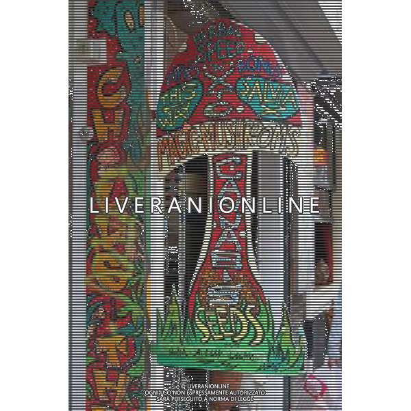 Magic Mushrooms and Cannabis seeds sign on drugs shop in Amsterdam, Holland ©PHOTOSHOT/Agenzia Aldo Liverani Sas - ITALY ONLY - VEDUTE DELLA CITTA\' DI AMSTERDAM IN OLANDA PAESI BASSI