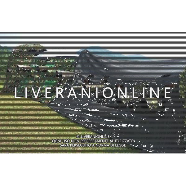 (100730) -- WUHAN, July 30, 2010() -- Amateur photographers shoot photos of birds behind camouflage nets in Hong\'an County of central China\'s Hubei Province, July 24, 2010. (/Jia Liancheng)(whj) ©Photoshot/Agenzia Aldo Liverani Sas - ITALY ONLY - Uccelli Gruccioni dalla gola blu - Il gruccione (Merops apiaster) e\' un variopinto uccello dell\'ordine dei Coraciiformi nella famiglia dei Meropidae