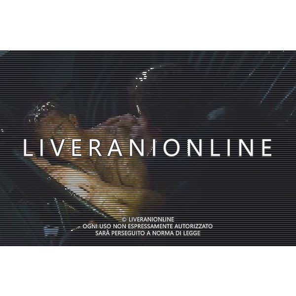 FILM Pandorum - L\'universo parallelo 2010 NELLA FOTO Ben Foster, Cam Gigandet AG ALDO LIVERANI
