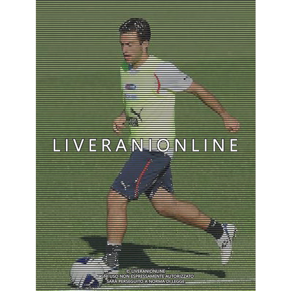 Raduno Nazionale Italiana a Coverciano Coverciano(FI) - 08.08.2010 Allenamento Nella Foto:ROSSI GIUSEPPE /Ph.Vitez-Ag. Aldo Liverani