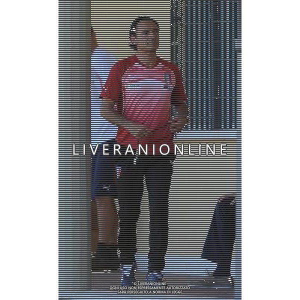 Raduno Nazionale Italiana a Coverciano Coverciano(FI) - 08.08.2010 Allenamento Nella Foto:prandelli cesare /Ph.Vitez-Ag. Aldo Liverani