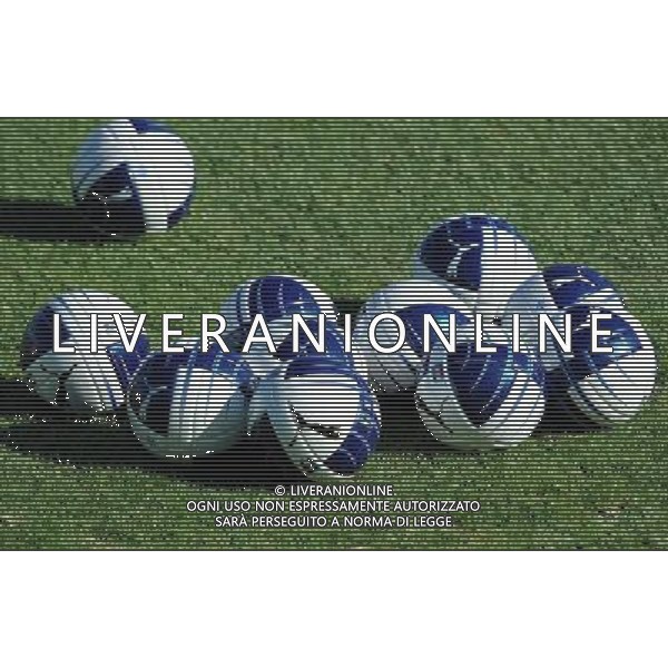 Raduno Nazionale Italiana a Coverciano Coverciano(FI) - 08.08.2010 Allenamento Nella Foto:palloni calcio nazionale /Ph.Vitez-Ag. Aldo Liverani