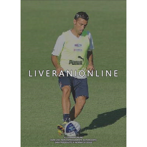 Raduno Nazionale Italiana a Coverciano Coverciano(FI) - 08.08.2010 Allenamento Nella Foto:quagliarella fabio /Ph.Vitez-Ag. Aldo Liverani