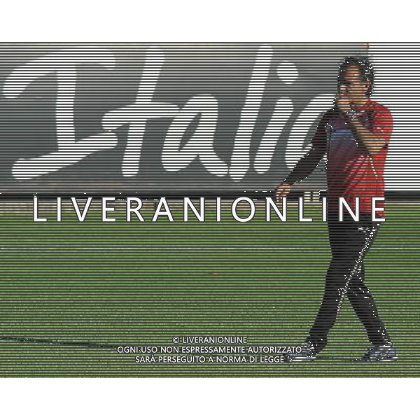 Raduno Nazionale Italiana a Coverciano Coverciano(FI) - 08.08.2010 Allenamento Nella Foto:prandelli cesare /Ph.Vitez-Ag. Aldo Liverani