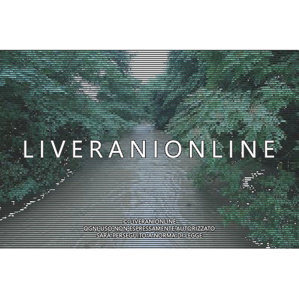 MILANO - CRONACA MALTEMPO A MILANO ph Fiochi/ AG ALDO LIVERANI SAS