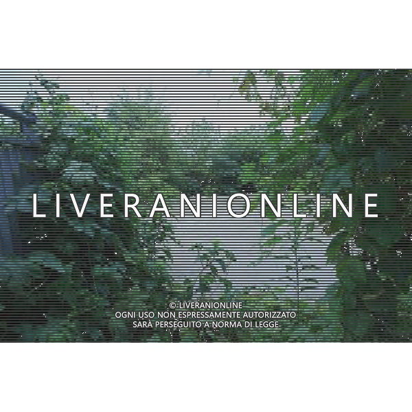 MILANO - CRONACA MALTEMPO A MILANO ph Fiochi/ AG ALDO LIVERANI SAS