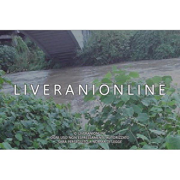 MILANO - CRONACA MALTEMPO A MILANO ph Fiochi/ AG ALDO LIVERANI SAS