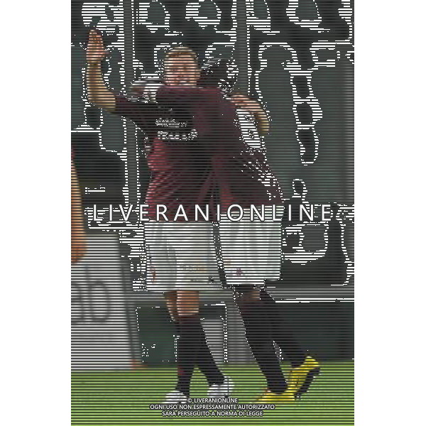 Torino-15-08-2010 Torino Cosenza 2o Turno Eliminatorio Tim Cup 2010/2011 Sport;Calcio Nella foto: esultanza del torino dopo il gol ©Falzone/AG ALDO LIVERANI SAS