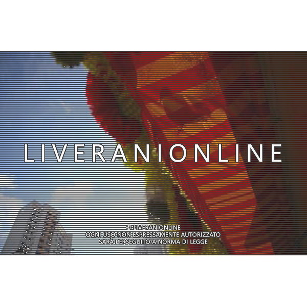 (100813) -- SINGAPORE, Aug. 13, 2010 () -- A dove rests on the sunshade in Little India district, Singapore, Aug. 12, 2010. Little India, as the name promises, is the center for the large Indian community in Singapore. Indian temples, colorful sarees, jasmine garlands, as well as the smells of spice and blasts of Bollywood music make this district a distinct place to visit in Singapore. (/Cai Yang) (msq) ©photoshot/Agenzia Aldo Liverani Sas - ITALY ONLY - Il quartiere di Little India a Singapore, Little India, e\' il centro per la numerosa comunita\' indiana, templi indiani, saree colorati, ghirlande di gelsomini, cosi\' come gli odori di spezie e raffiche di musica di Bollywood fanno di questo quartiere un luogo da visitare