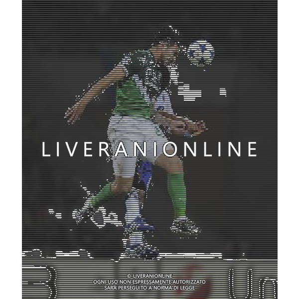 SV Werder Brema - UC Sampdoria UEFA Preliminari Champions League, Play-Off, 2010/2011 18.08.2010 nella foto ALMEIDA copyright by firo sportphoto/Agenzia Aldo Liverani Sas - ITALY ONLY - EDITORIAL USE ONLY