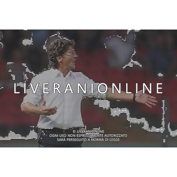19 AGOSTO 2010 EUROPA LEAGUE NAPOLI-ELSBORG NELLA FOTO: WALTER MAZZARRI FOTO MOSCA- AG.LIVERANI SAS