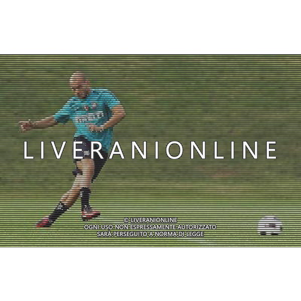 Allenamento Inter Calcio Appiano gentile (Co) 20/08/2010 nella foto wesley sneijder ©Luzzani/Agenzia Aldo Liverani Sas