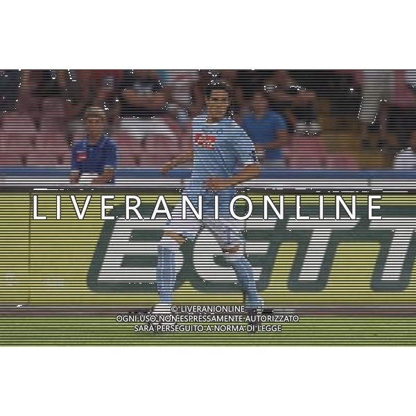 NAPOLI CALCIO NELLA FOTO: CAVANI FOTO MOSCA- AG.LIVERANI