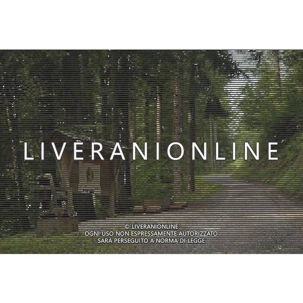 (100821) -- MAIENFELD, Aug. 21, 2010 -- Photo taken on Aug. 20, 2010 of Maienfeld, eastern Switzerland. Maienfeld is the place that Heidi, a character in a worldwide-known novel, lived her life with her grandpa. Yu Yang) (cl) ©photoshot/Agenzia Aldo Liverani Sas - ITALY ONLY - Turisti nella cittadina di Maienfeld, Svizzera orientale. Maienfeld e\' il luogo di montagna dove Heidi, un personaggio di un romanzo conosciuto in tutto il mondo, ha vissuto la sua vita con il suo nonno e peter. 