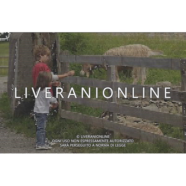 (100821) -- MAIENFELD, Aug. 21, 2010 -- Children feed a goat in Maienfeld, eastern Switzerland, Aug. 20, 2010. Maienfeld is the place that Heidi, a character in a worldwide-known novel, lived her life with her grandpa. Yu Yang) (cl) ©photoshot/Agenzia Aldo Liverani Sas - ITALY ONLY - Turisti nella cittadina di Maienfeld, Svizzera orientale. Maienfeld e\' il luogo di montagna dove Heidi, un personaggio di un romanzo conosciuto in tutto il mondo, ha vissuto la sua vita con il suo nonno e peter. 