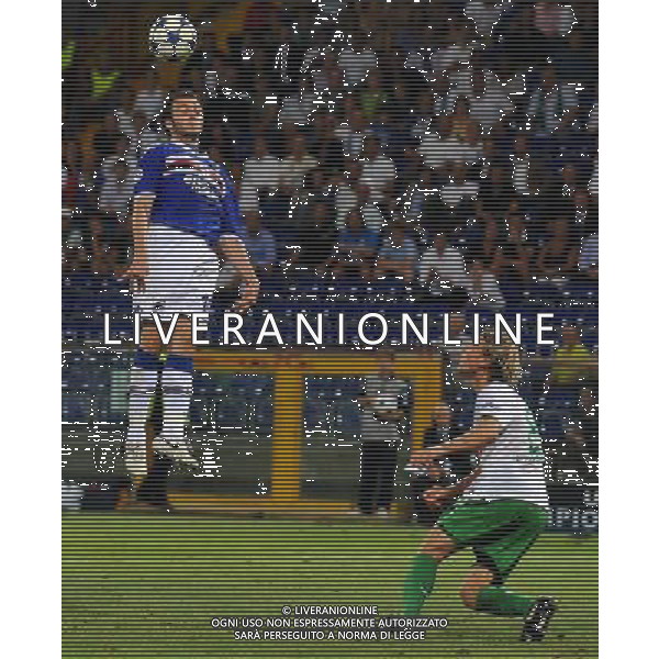 Champions League 2010/2011 Turno Preliminare Ritorno Genova - 24.08.2010 Sampdoria-Werder Brema Nella Foto:pazzini giampaolo /Ph.Vitez-Ag. Aldo Liverani