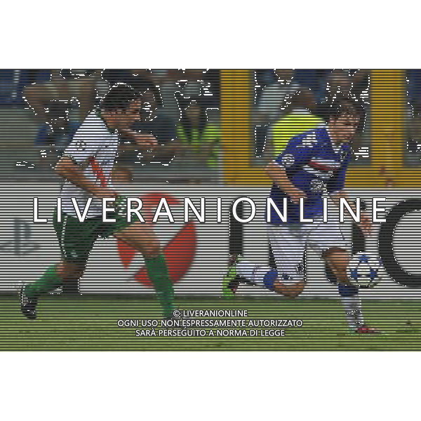 Champions League 2010/2011 Turno Preliminare Ritorno Genova - 24.08.2010 Sampdoria-Werder Brema Nella Foto:dessena /Ph.Vitez-Ag. Aldo Liverani