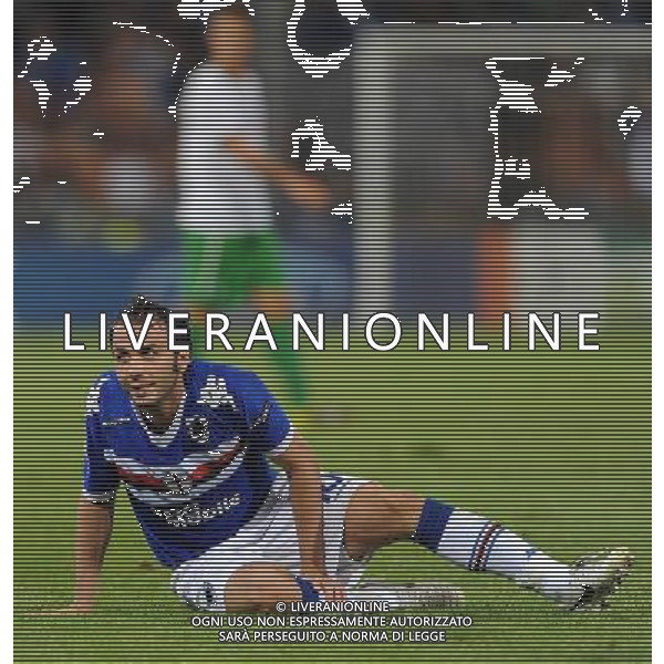 Champions League 2010/2011 Turno Preliminare Ritorno Genova - 24.08.2010 Sampdoria-Werder Brema Nella Foto:pazzini giampaolo /Ph.Vitez-Ag. Aldo Liverani