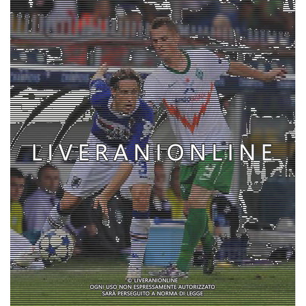 Champions League 2010/2011 Turno Preliminare Ritorno Genova - 24.08.2010 Sampdoria-Werder Brema Nella Foto:ziegler /Ph.Vitez-Ag. Aldo Liverani