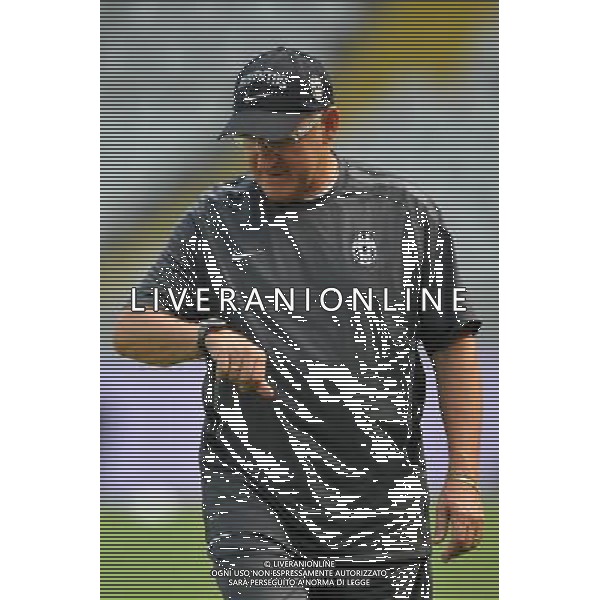 Torino 25/08/2010 Allenamento della Juventus calcio in vista dell\' Incontro di Europa League Juventus - Sturm Graz nella foto LUIGI DEL NERI ©AG. ALDO LIVERANI SAS