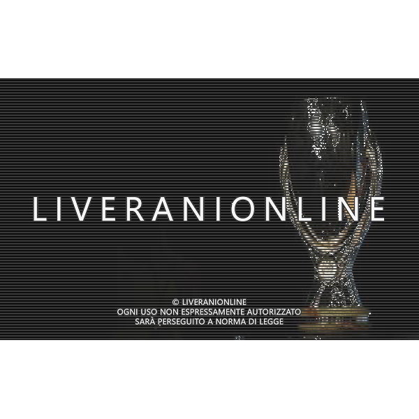 UEFA SuperCup 2010 Montecarlo (Principato di Monaco) - 26.08.2010 Conferenza Stampa e Allenamenti Nella Foto:Super Coppa Europea /Ph.Vitez-Ag. Aldo Liverani