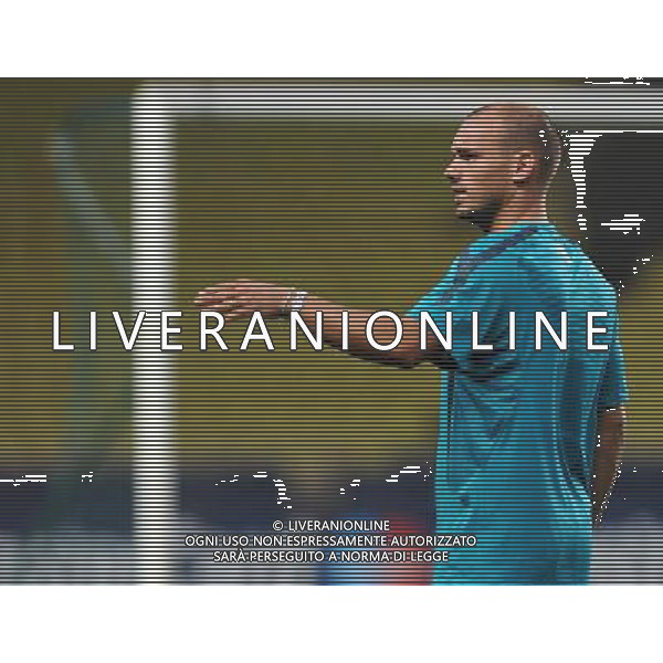 UEFA SuperCup 2010 Montecarlo (Principato di Monaco) - 26.08.2010 Conferenza Stampa e Allenamenti Nella Foto:sneijder /Ph.Vitez-Ag. Aldo Liverani