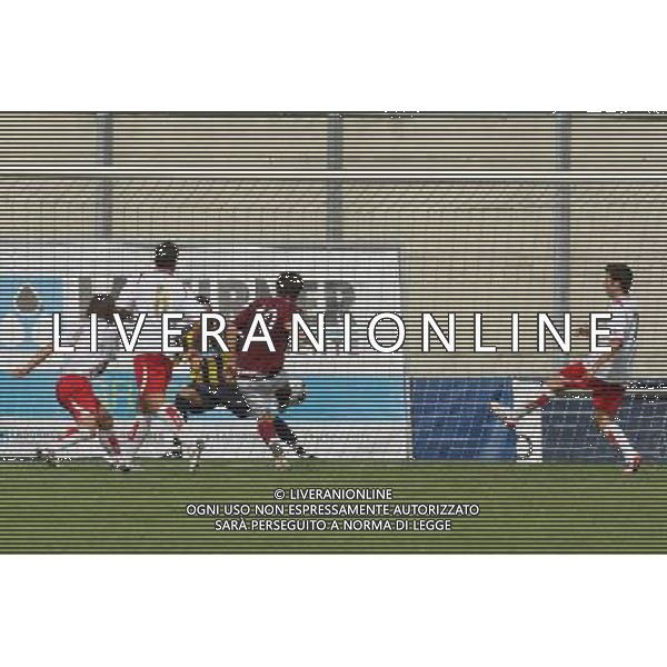 CAMPIONATO DI PRIMA DIVISIONE LEGA PRO GIRONE A SUDTIROL - SALERNITANA nella foto il gol di carcuro ©garbuio/AG.ALDO LIVERANI SAS