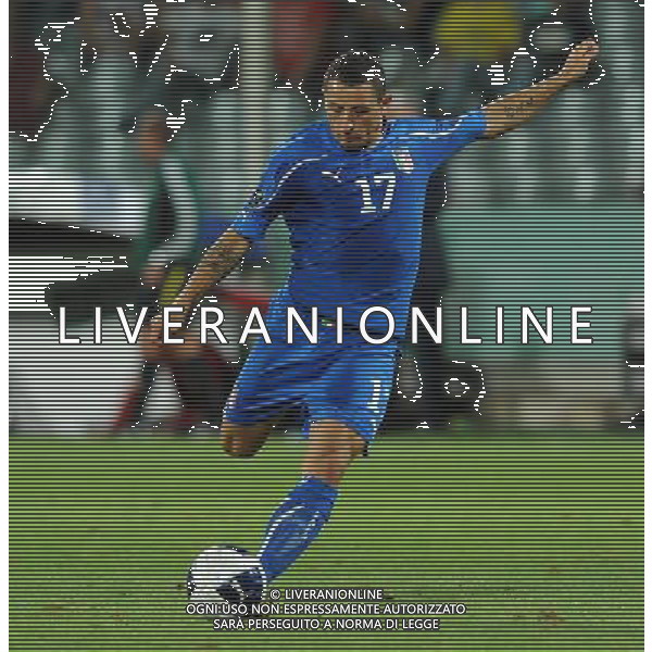 Qualificazioni ai Campionati Europei UEFA EURO 2012 Gruppo C Firenze - 07.09.2010 Italia-Far Oer Nella Foto:palombo angelo /Ph.Vitez-Ag. Aldo Liverani