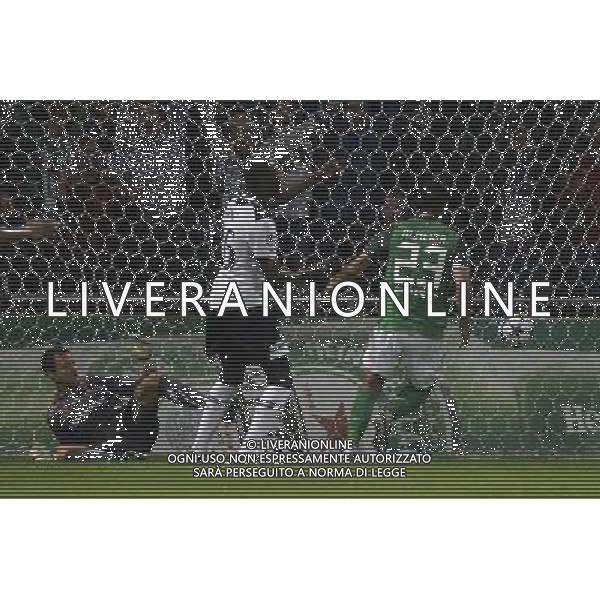 CHAMPIONS LEAGUE 2010/2011 WERDER BREMA Tottenham CALCIO 14.09.2010 Champions League SV Werder Bremen - Tottenham Hotspurs nella foto il gol di hugo almeida ©firosportphoto/AG.ALDO LIVERANI SAS ITALY ONLY