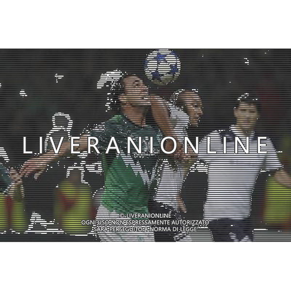 CHAMPIONS LEAGUE 2010/2011 WERDER BREMA Tottenham CALCIO 14.09.2010 Champions League SV Werder Bremen - Tottenham Hotspurs nella foto Hugo Almeida - Younes Kaboul ©firosportphoto/AG.ALDO LIVERANI SAS ITALY ONLY