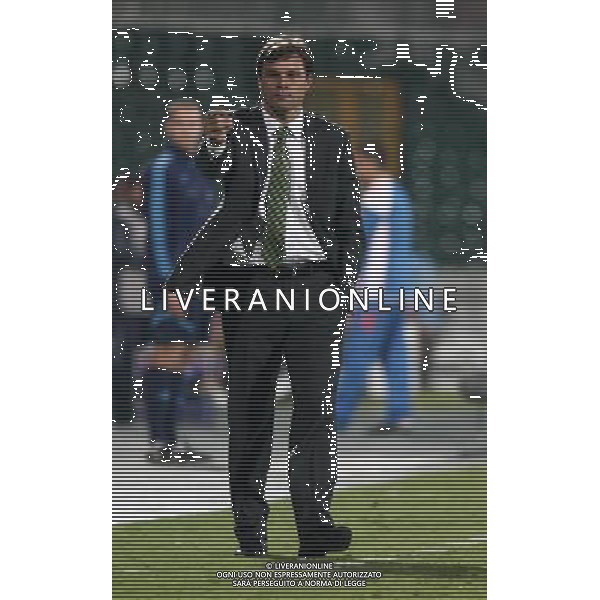 UEFA Champions League group C match between Bursaspor Turkey and Valencia Spain at Ataturk Stadium in Bursa, Turkey 14.09.2010 Valencia won scored 4 - 0 Pictured: Coach Ertugrul Saglam of Bursaspor. FOT. SESKIMPHOTO/NEWSPIX/Agenzia Aldo Liverani Sas ONLY ITALY *** Local Caption *** .