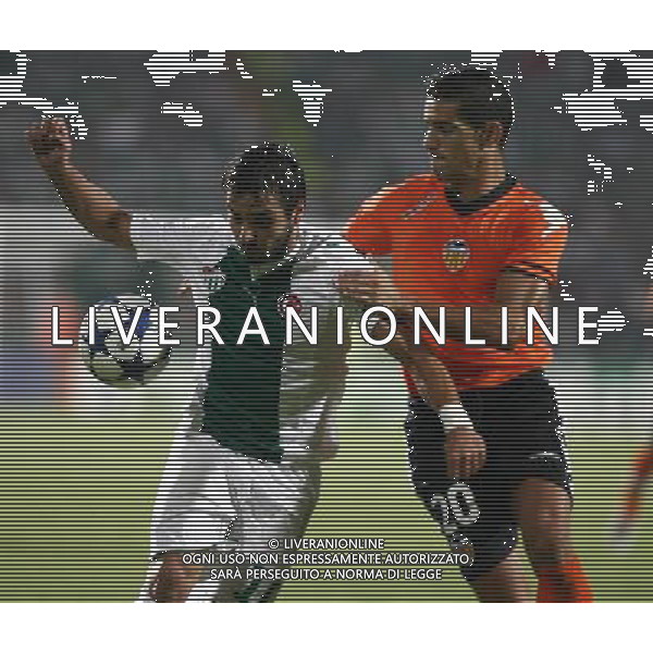 UEFA Champions League group C match between Bursaspor Turkey and Valencia Spain at Ataturk Stadium in Bursa, Turkey 14.09.2010 Valencia won scored 4 - 0 Pictured: FOT. SESKIMPHOTO/NEWSPIX/Agenzia Aldo Liverani Sas ONLY ITALY *** Local Caption *** .