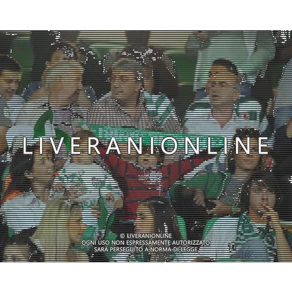 UEFA Champions League group C match between Bursaspor Turkey and Valencia Spain at Ataturk Stadium in Bursa, Turkey 15.09.2010 Valencia won scored 4 - 0 Pictured: Fans of Bursaspor. FOT. SESKIMPHOTO/NEWSPIX/Agenzia Aldo Liverani Sas ONLY ITALY *** Local Caption *** .