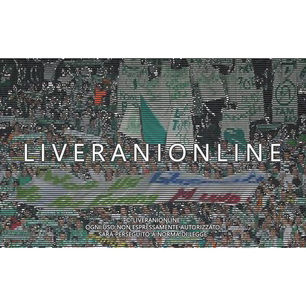 UEFA Champions League group C match between Bursaspor Turkey and Valencia Spain at Ataturk Stadium in Bursa, Turkey 15.09.2010 Valencia won scored 4 - 0 Pictured: Fans of Bursaspor. FOT. SESKIMPHOTO/NEWSPIX/Agenzia Aldo Liverani Sas ONLY ITALY *** Local Caption *** .