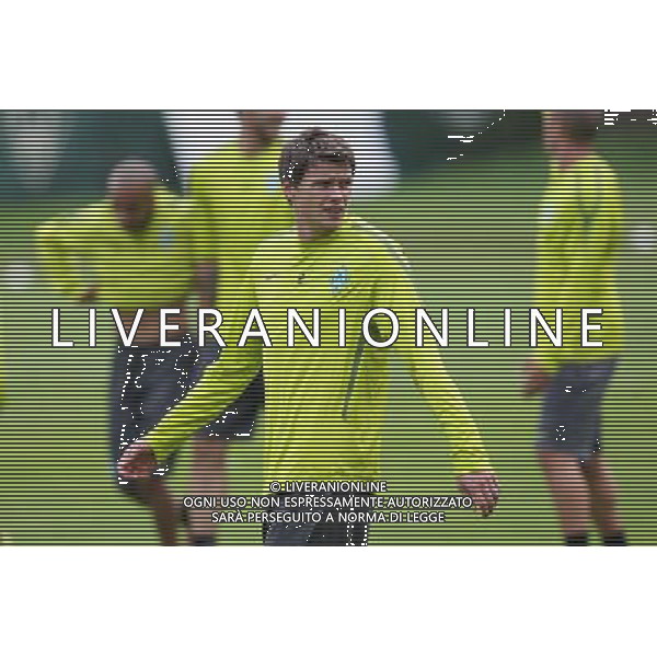 BREMA 13.09.2010 ALLENAMENTO DEL WERDER BREMA PRIMA DELLA PARTITA DI CHAMPIONS LEAGUE CON IL TOTTENHAM TRAINING BEFORE GAME MATCH WITH TOTTENHAM NELLA FOTO SEBASTIAN BOENISCH ©Newspix./ALDO LIVERANI SAS ITALY ONLY *** Local Caption *** .