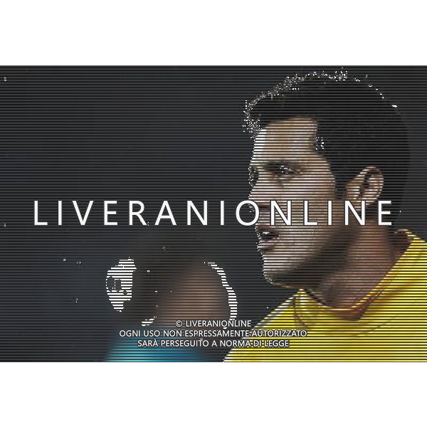 UEFA Champions League 2010/2011 Gruppo A Enschede (Olanda) - 14.09.2010 Twente-Inter Nella Foto:JULIO CESAR /Ph.Vitez-Ag. Aldo Liverani