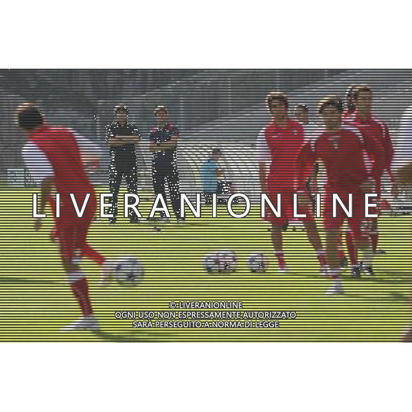 20100927: BRAGA, PORTUGAL - SC Braga training session to prepare Champions League 2010/2011 match against Shaktar Donetsk. In picture: Manuel Casaca e allenatore Domingos Paciencia. PHOTO: CITYFILES/NEWSPIX.PL- AG. ALDO LIVERANI SAS ITALY ONLY ALLENAMENTO DELLA SQUADRA PORTOGHESE DEL BRAGA IN VISTA DELLA PARTITA DI CHAMPIONS LEAGUE 2010-2011 CONTRO IL SHAKTAR DONETSK
