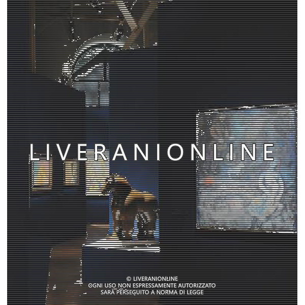 PERUGIA - INAUGURAZIONE MOSTRA \'TEATRO DEL SOGNO\' © BELFIORE - AG. ALDO LIVERANI SAS