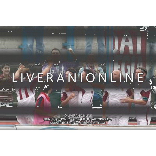 Lumezzane 20101003 -spo- Lumezzane-Reggiana lega pro 1 nella foto esultanza di temelin 0-1 Ph. Fotolive/Richard Morgano-ag aldo liverani