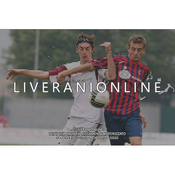 Lumezzane 20101003 -spo- Lumezzane-Reggiana lega pro 1 nella foto temelin e pini Ph. Fotolive/Richard Morgano-ag aldo liverani
