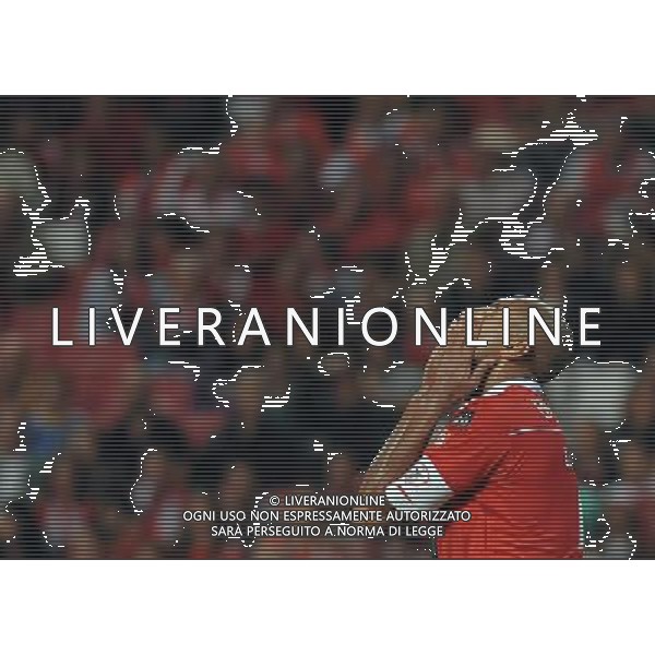 20101003: LISBON, PORTUGAL - SL Benfica vs SC Braga: Portuguese League 2010/2011, 7th round. NELLA FOTO Luisao (Benfica) PHOTO: Alvaro Isidoro/CITYFILES/NEWSPIX.PL AG ALDO LIVERANI ONLY ITALY