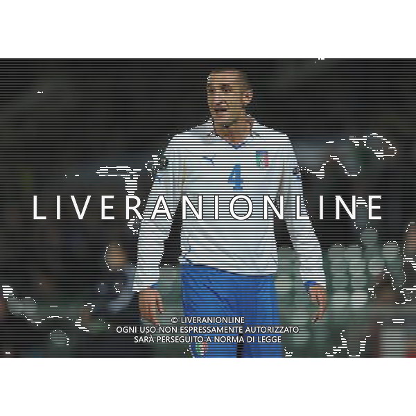 Qualificazioni ai Campionati Europei UEFA EURO 2012 Gruppo C Belfast (Irlanda del Nord) - 08.10.2010 Irlanda del Nord-Italia Nella Foto:chiellini giorgio /Ph.Vitez-Ag. Aldo Liverani