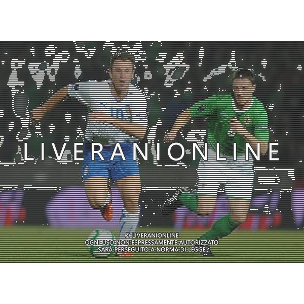 Qualificazioni ai Campionati Europei UEFA EURO 2012 Gruppo C Belfast (Irlanda del Nord) - 08.10.2010 Irlanda del Nord-Italia Nella Foto:Antonio CASSANO /Ph.Vitez-Ag. Aldo Liverani