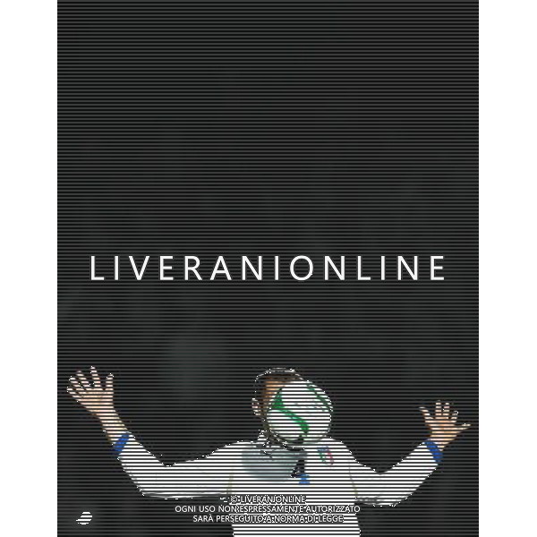 Qualificazioni ai Campionati Europei UEFA EURO 2012 Gruppo C Belfast (Irlanda del Nord) - 08.10.2010 Irlanda del Nord-Italia Nella Foto:Giorgio CHIELLINI /Ph.Vitez-Ag. Aldo Liverani