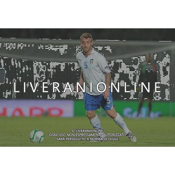 Qualificazioni ai Campionati Europei UEFA EURO 2012 Gruppo C Belfast (Irlanda del Nord) - 08.10.2010 Irlanda del Nord-Italia Nella Foto:Daniele DE ROSSI /Ph.Vitez-Ag. Aldo Liverani